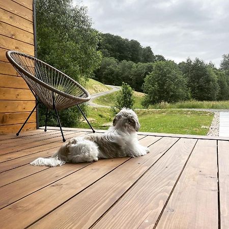 Mini Valley House 1 Sita Buzăului Eksteriør billede